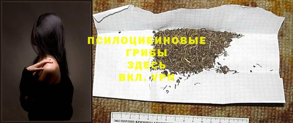 бошки Богородицк