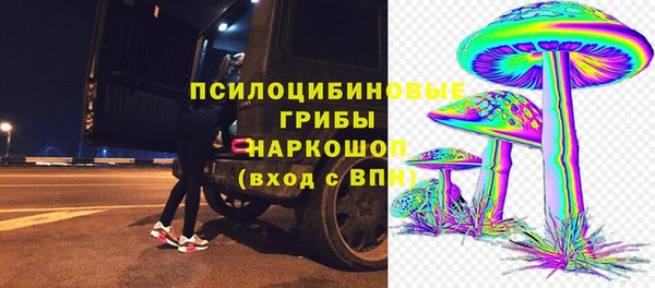 apvp Бронницы