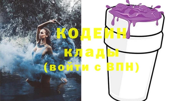 mdpv Бородино
