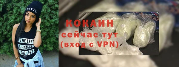 mdpv Бородино